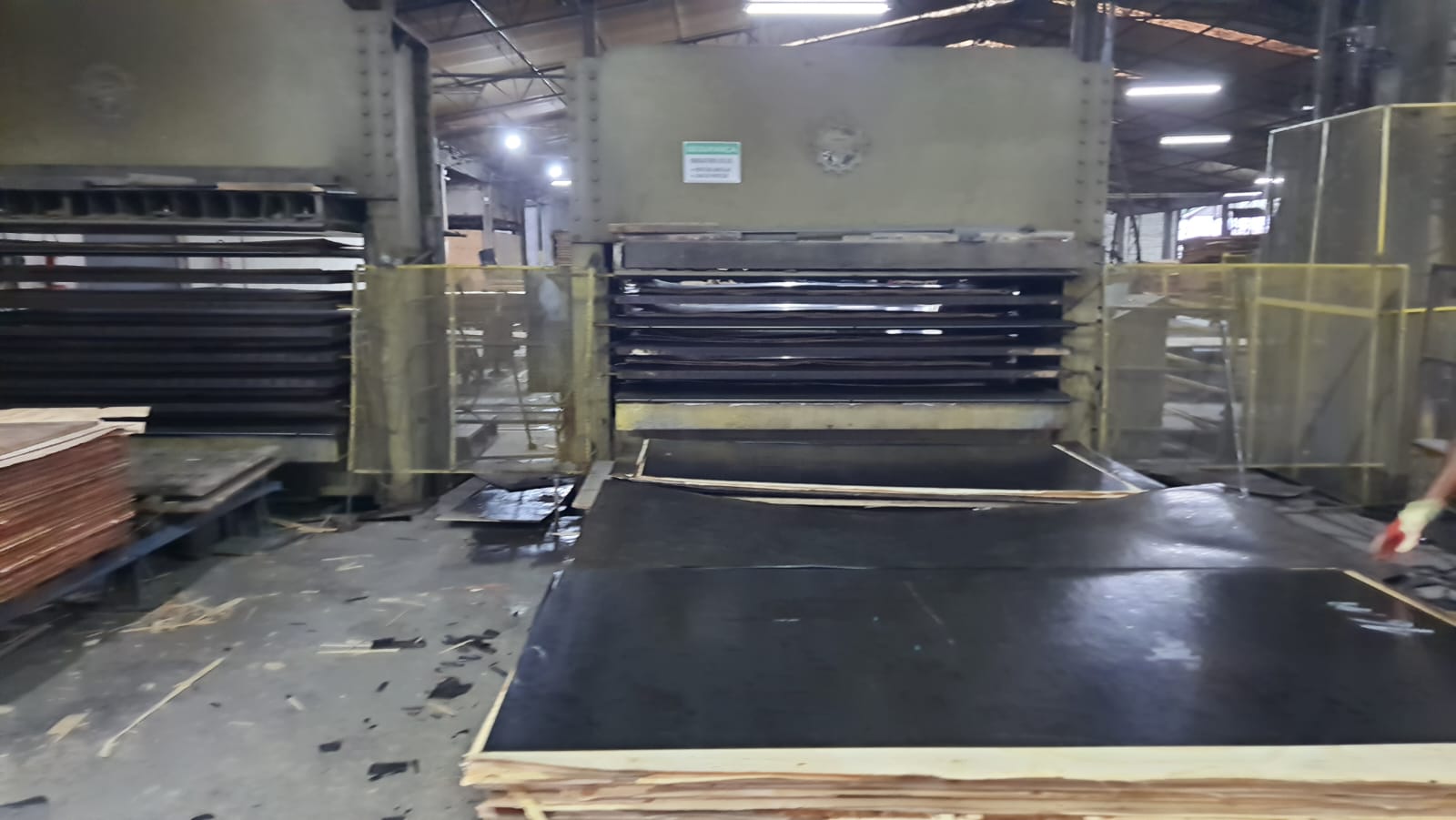 WhatsApp Image 2026-03-01 at 10.25.41 (1)