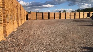 WhatsApp Image 2026-03-01 at 10.25.56