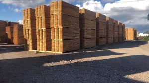 WhatsApp Image 2026-03-01 at 10.25.57