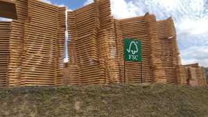 WhatsApp Image 2026-03-01 at 10.25.58 (2)