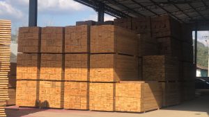 WhatsApp Image 2026-03-01 at 10.25.58