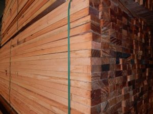 WhatsApp Image 2026-03-01 at 10.26.14 (1)