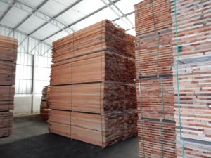 WhatsApp Image 2026-03-01 at 10.26.14