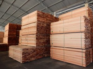 WhatsApp Image 2026-03-01 at 10.26.15 (1)