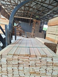 WhatsApp Image 2026-03-01 at 10.26.16 (1)