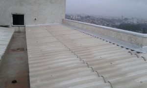 WhatsApp Image 2026-03-01 at 10.27.15 (3)