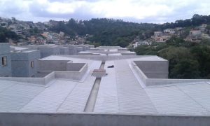 WhatsApp Image 2026-03-01 at 10.27.16 (1)