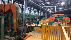 WhatsApp Image 2026-03-04 at 15.03.44 (1)