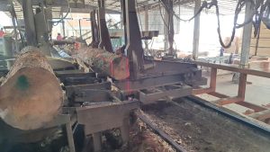 WhatsApp Image 2026-03-04 at 15.03.45