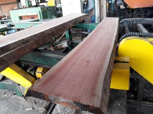 WhatsApp Image 2026-03-04 at 15.03.46 (1)