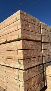 WhatsApp Image 2026-03-04 at 15.05.02